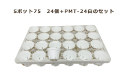Sポット75　白　24個セット + 専用トレー　PMT-24白（ホワイト）　付き　トレーセット 多肉植物 鉢 エケベリア