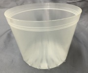 半透明　プラ鉢　15ｃｍ　１0個