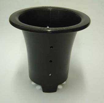 万年青プラ鉢　5.0号