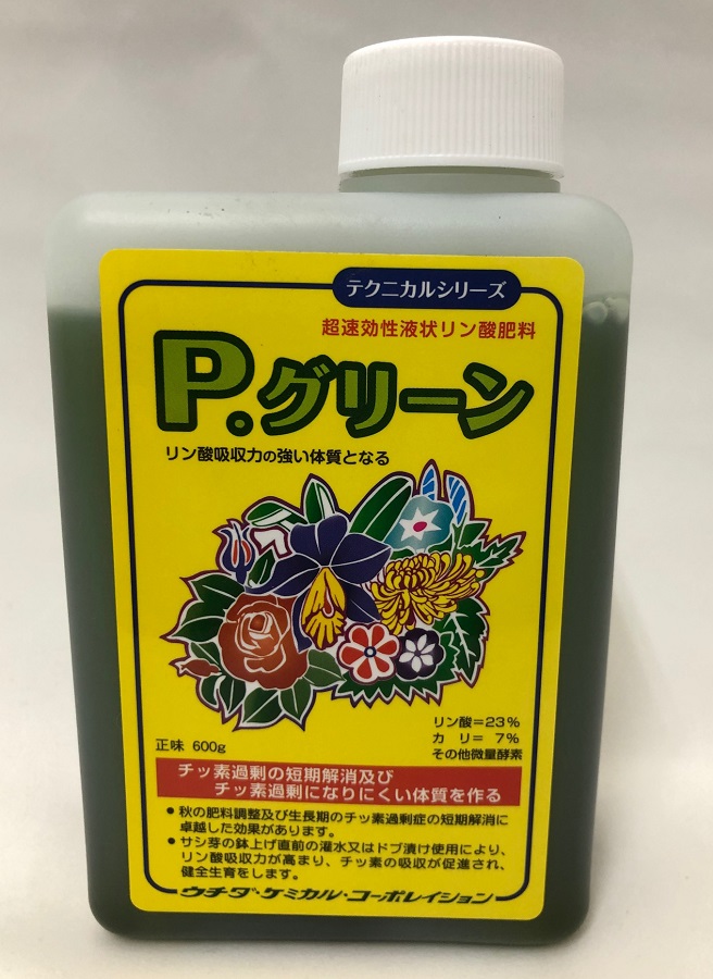 P.グリーン 600g ウチダケミカルテクニカルシリーズ