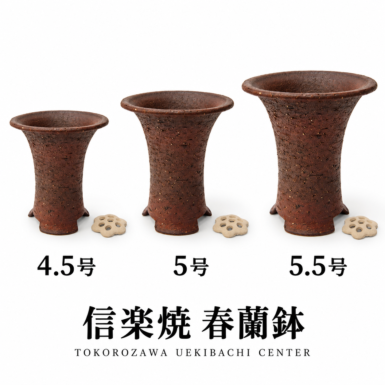 信楽焼 春蘭鉢 岩石胴しぼり｜4.5号・5号・5.5号・サナ付き