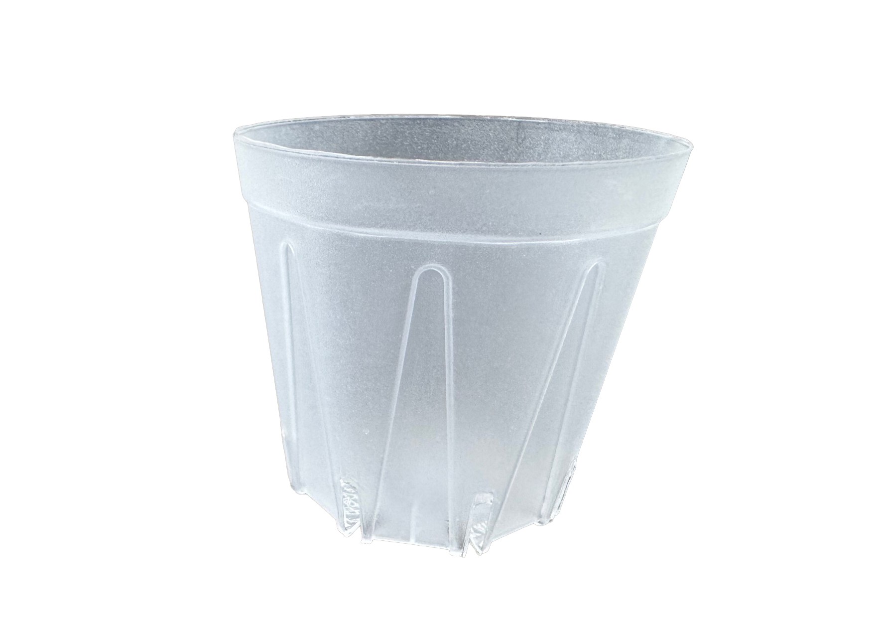 半透明スリット鉢　プラ鉢　6cm 2号　100個 多肉植物 鉢 エケベリア　スケルトン　CSM-60