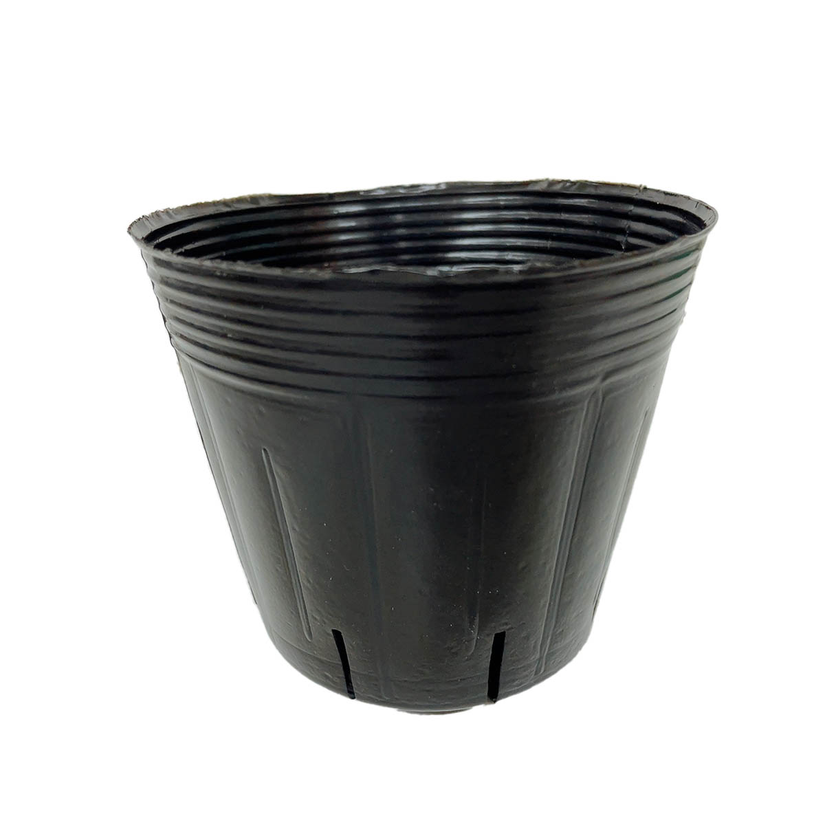 スリット8入りポリポット　10.5ｃｍ　50個