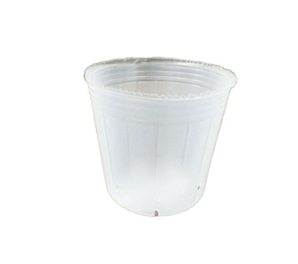 半透明　スリット8入りポリポット　6ｃｍ　100個　底穴無しタイプ　