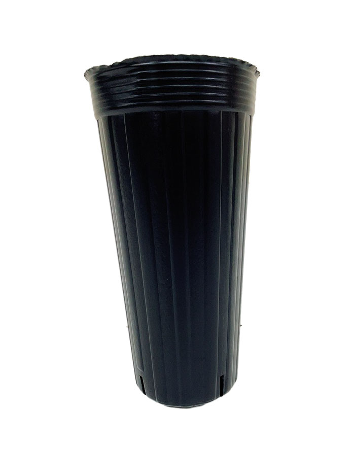 スリット4入りポリポット超ロング15ｃｍ 10個