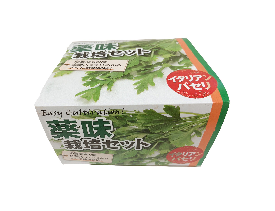 薬味栽培セット　イタリアンパセリ　（鉢+培養土+種）