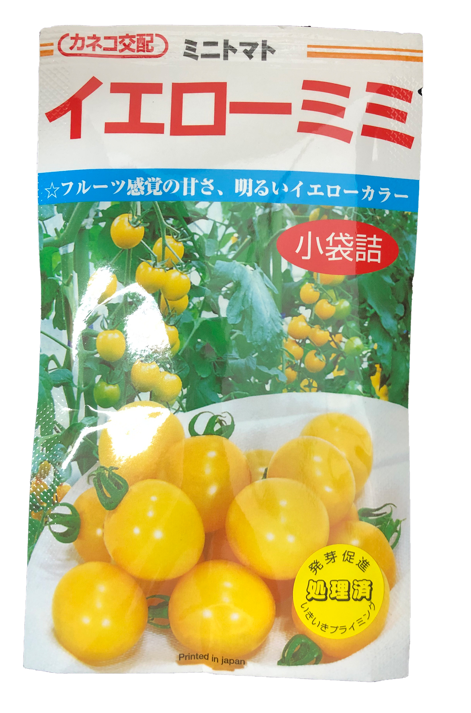 カネコ種苗 種子 イエローミニ　ミニトマト　フルーツ感覚の甘さ 17粒/　ネコポス便　送料無料　