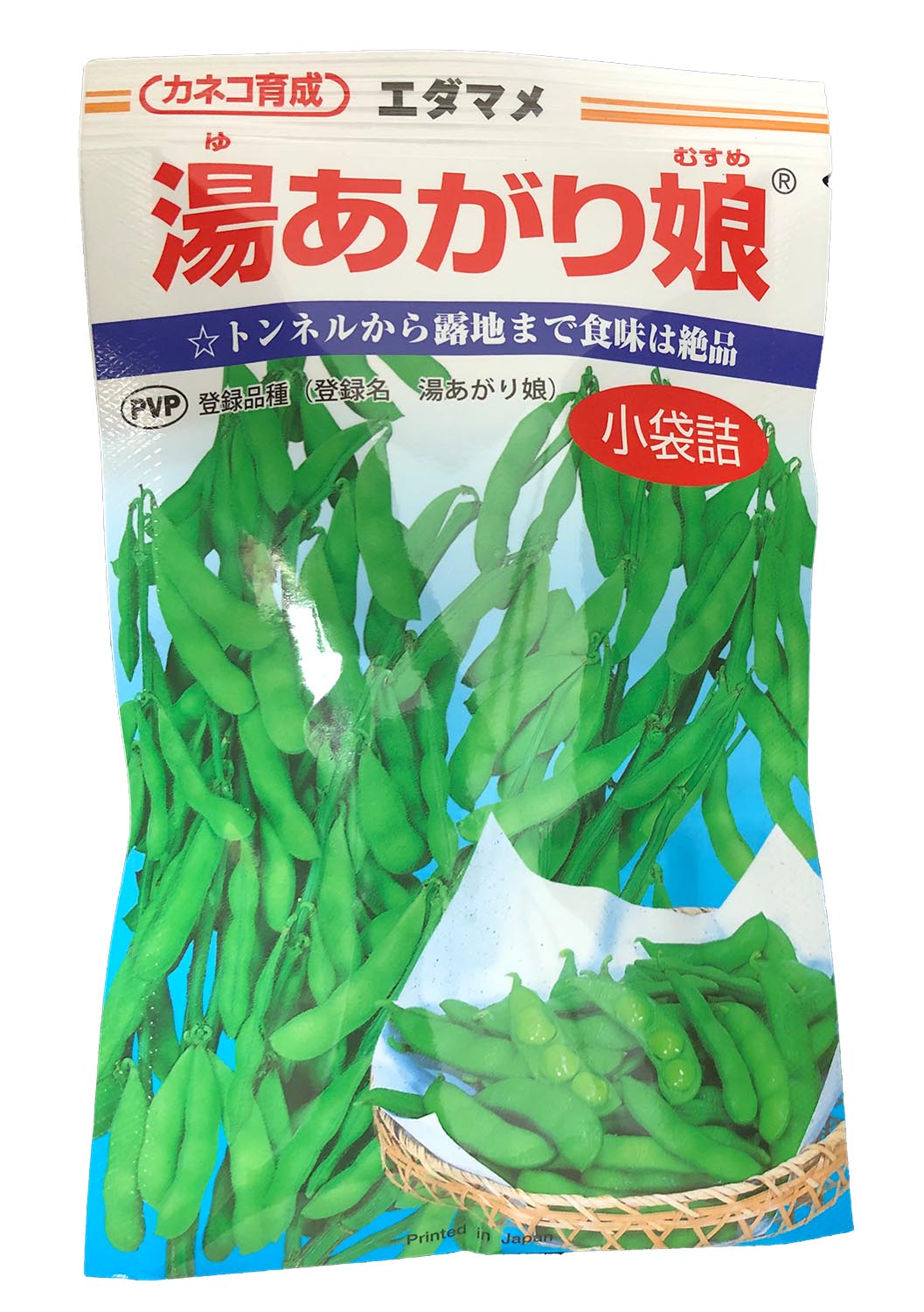 カネコ種苗 種 エダマメ 枝豆 湯あがり娘 100粒/　4袋までネコポス便対応　