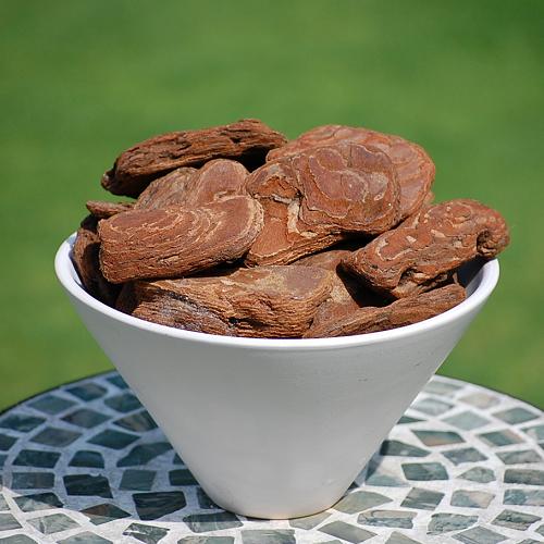 インテリアバーク　販売・通販【大きい観葉植物専門店ガーデントロピカ】