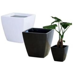 アーバンポット