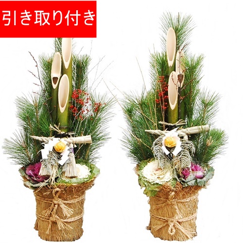 日本の門松 関西1cm 販売 通販 全国発送 お引き取りサービス付 大きな観葉植物専門店 ガーデントロピカ