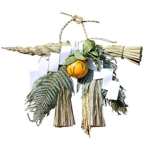 関西風手作りしめ縄 ｌサイズ 大きな観葉植物専門店 ガーデントロピカ 大型観葉植物を販売 通販