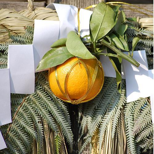 関西風手作りしめ縄】 2Lサイズ ☆【大きな観葉植物専門店 ガーデン