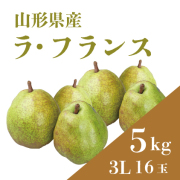 【予約販売】ラ・フランス　3L玉 5キロ(16玉)