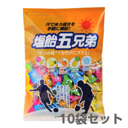 【送料無料】塩飴５兄弟 800g 袋入 10袋セット