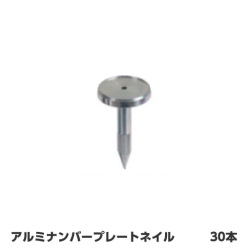 ナンバープレートネイル No.2 30本 NPNAIL2 リプロ