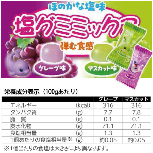 熱中症対策 塩分水分補給 塩グミミックス 250g ランドアート