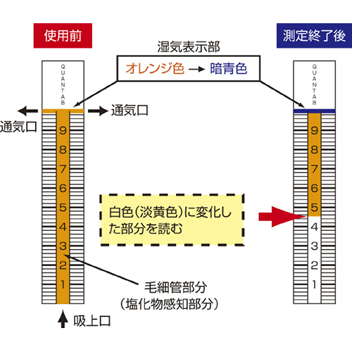 カンタブ 塩分測定 低濃度 3本入12パック LC-564A