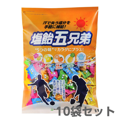 【送料無料】塩飴５兄弟 800g 袋入 10袋セット