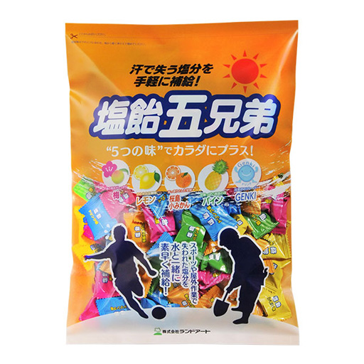 塩飴５兄弟 800g 袋入