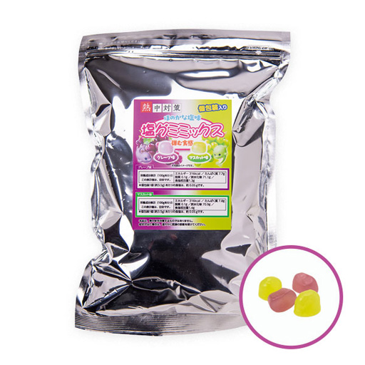 熱中症対策 塩分水分補給　塩グミミックス  250g  ランドアート
