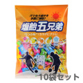 【送料無料】塩飴５兄弟 800g 袋入 10袋セット
