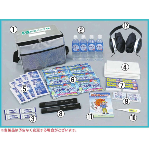 熱中症対策  つくしの熱・応急バッグL2  CN5071-L  つくし工房