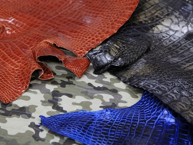 特別カラー /今月の限定カラー