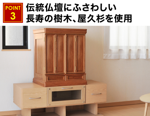 久遠 屋久杉 24号・32号