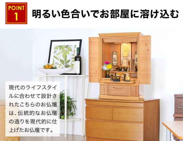 染井吉野 桜 27号