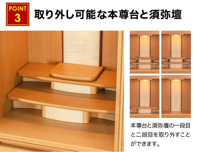 染井吉野 桜 32号