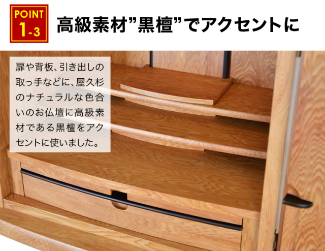 ローレシア 屋久杉 22号