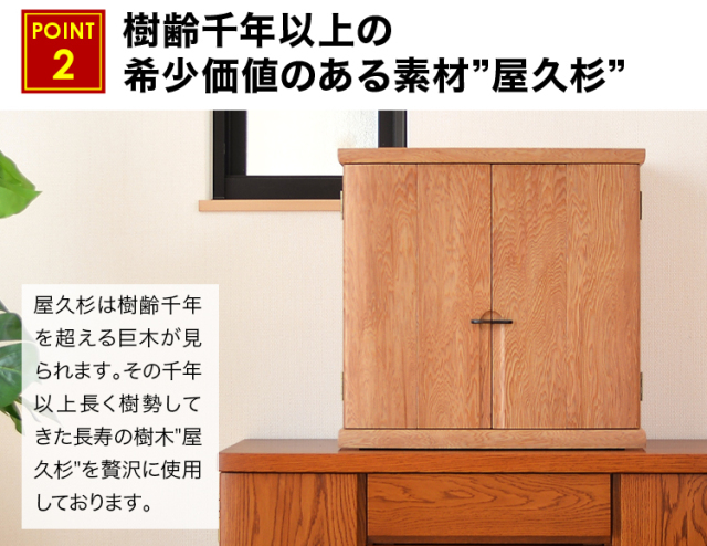 ローレシア 屋久杉 23号