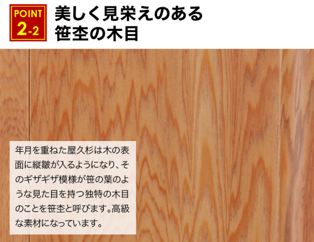 ローレシア 屋久杉 24号