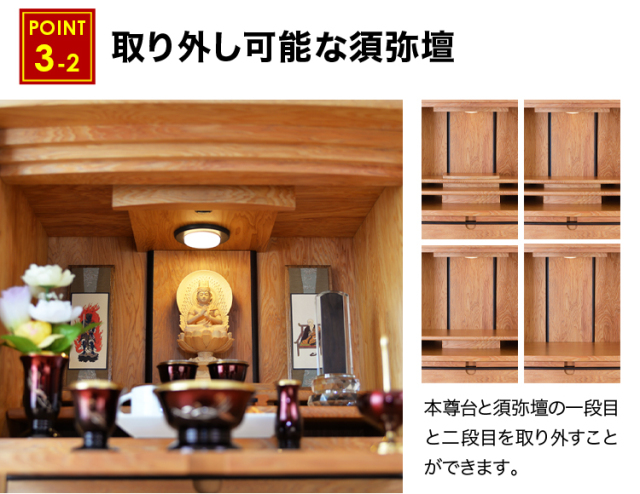 ローレシア 屋久杉 26号