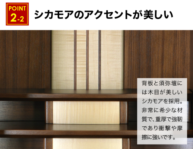 ロディー ウォールナット 31号