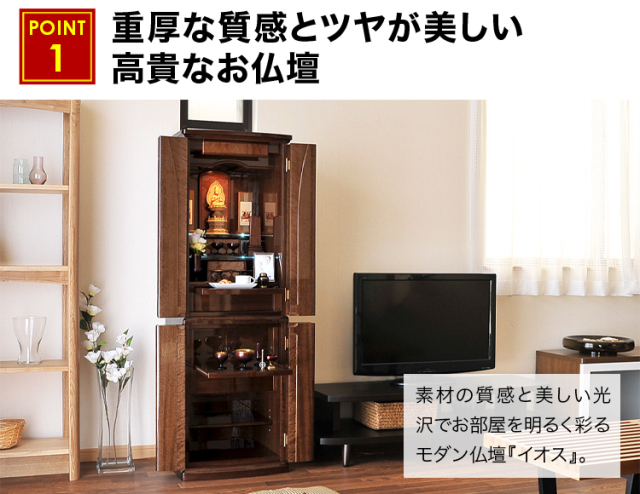 イオス ニューギニア ウォール 16×50号