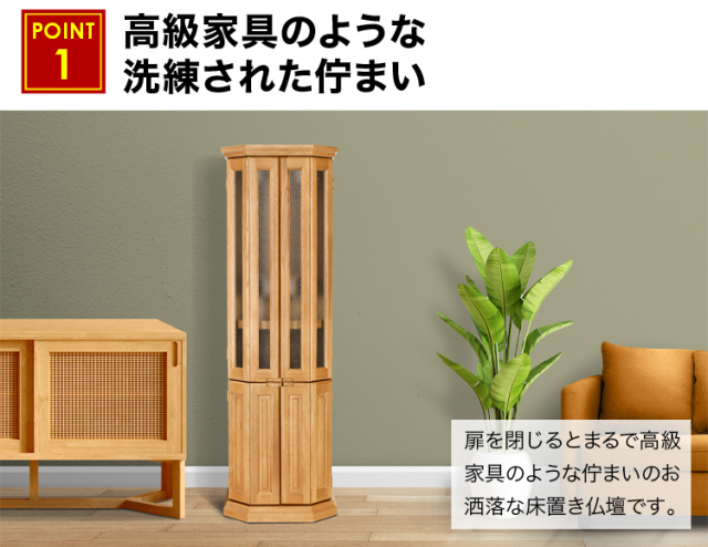 デイリーライト 15×50号