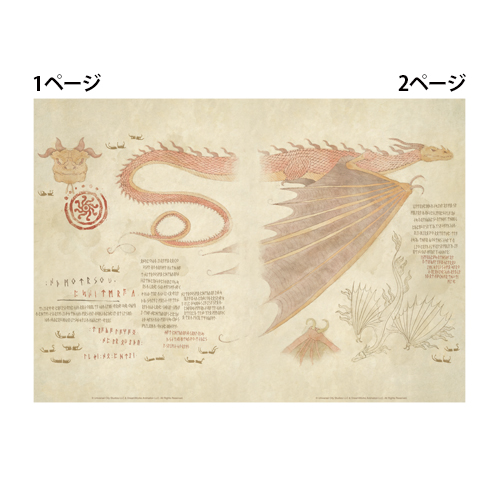 ヒックとドラゴン 劇場版 ノート ファイル 映画『ヒックとドラゴン』 ブックカバー付きノート