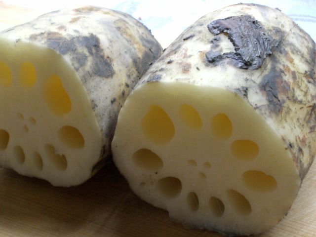 佐賀県白石産蓮根現物