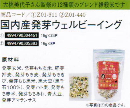 【まとめ買い20個セット】国内産発芽ウェルビーイング15g×8p
