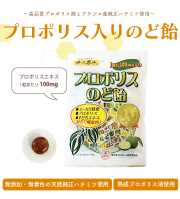 【定期お届け便】プロポリス入りのど飴80g×3袋セット　熟成プロポリス液、天然純正はちみつ使用　体にやさしいのど飴　【メール便】