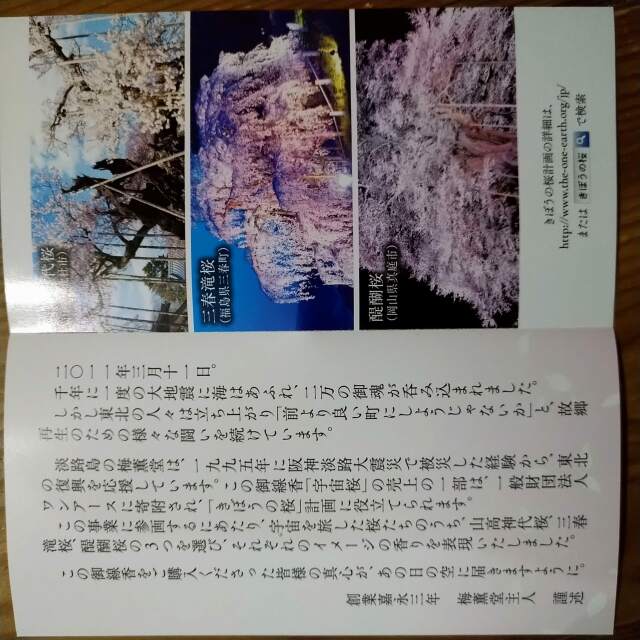 東日本大震災復興支援事業『きぼうの桜』支援品【宇宙桜】梅薫堂