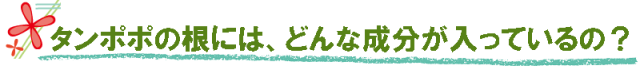 タンポポ根の成分
