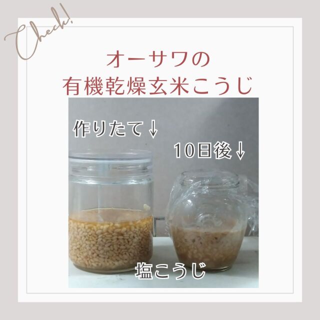 塩麹の写真、10日くらいで出来上がります。
