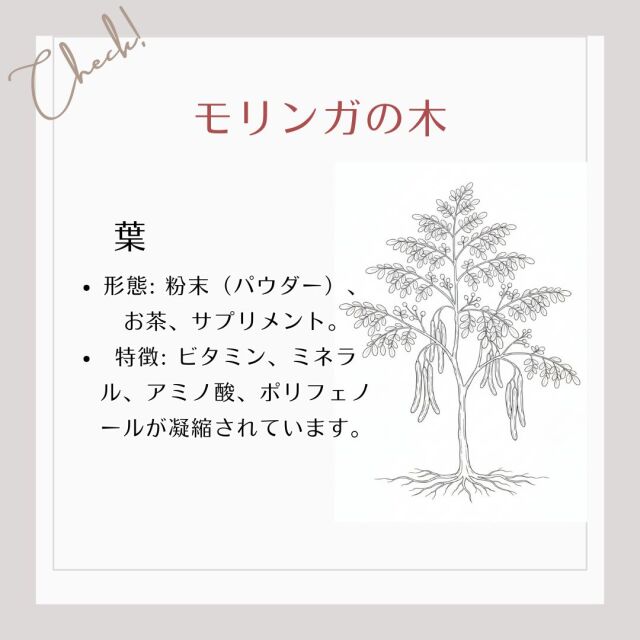【葉】形態: 粉末（パウダー）、お茶、サプリメント。 特徴: ビタミン、ミネラル、アミノ酸、ポリフェノールが凝縮されています。