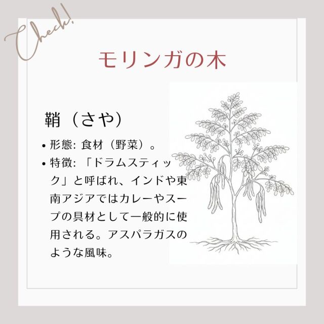 【鞘】形態: 食材。 特徴: 「ドラムスティック」と呼ばれ、インドや東南アジアではカレーやスープに使用。アスパラガスのような風味。