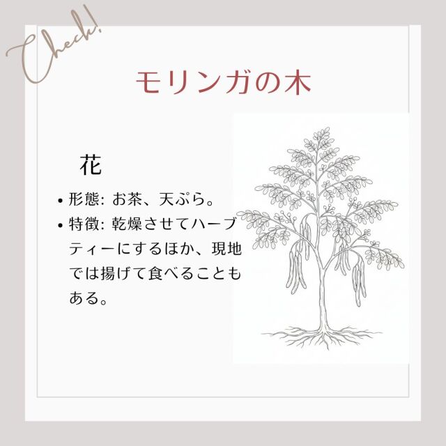 【花】形態: お茶、天ぷら。 特徴: 乾燥させてハーブティーにするほか、現地では揚げて食べることもある。