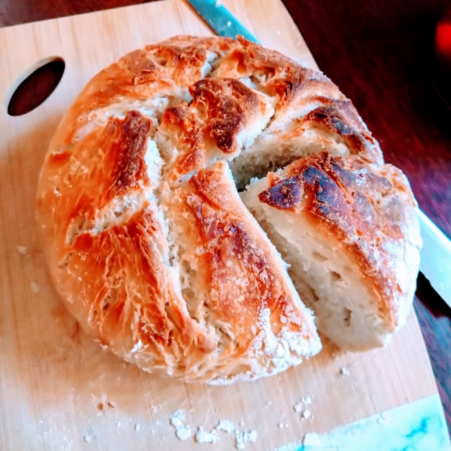 有機穀物で作った天然酵母(ドライイースト)】 有機穀物で作った天然酵母(ドライイースト)】