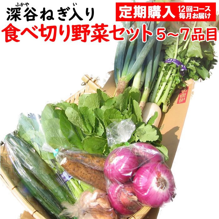 野菜セット5-7定期 12回コース